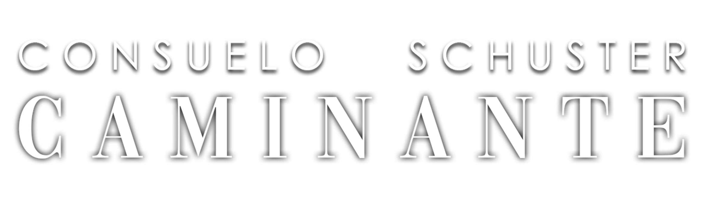 Logo Consuelo
